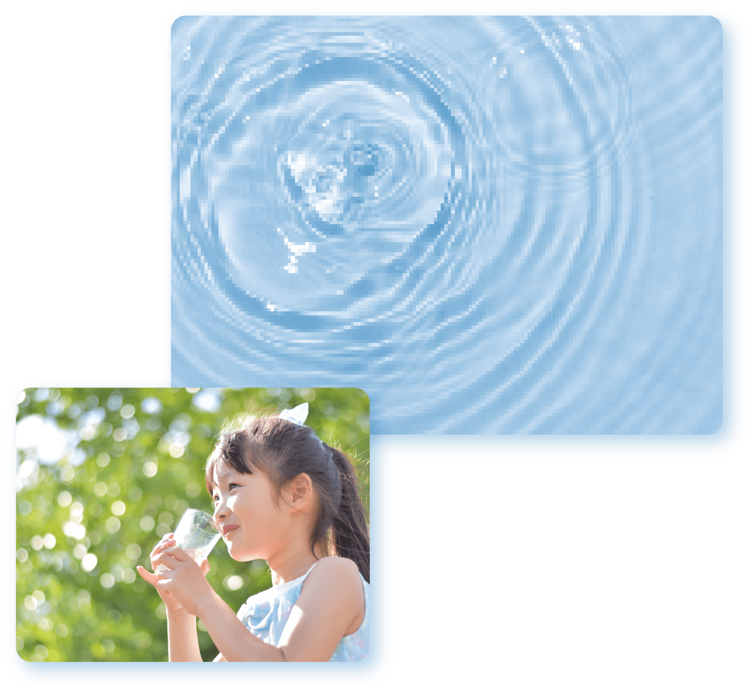 水質について